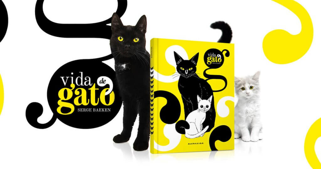 vida de gato