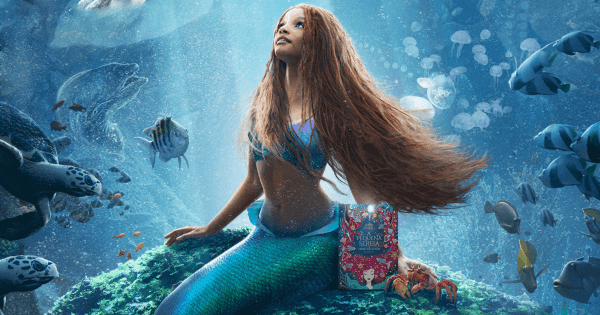 Como nadar com uma cauda de sereia? - Planet Mermaid