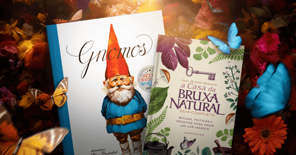 Qual a diferença entre gnomos e duendes? - DarkBlog