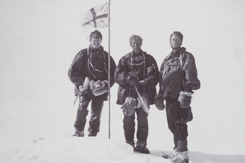 expedição mawson