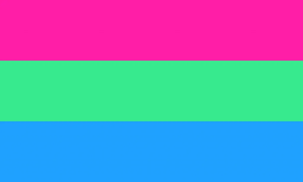 bandeira polissexual