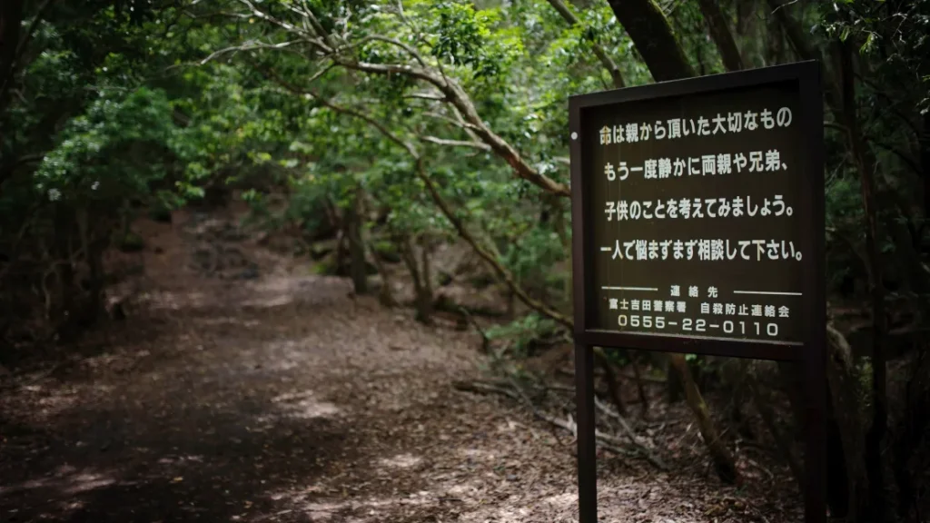 placas floresta de aokigahara