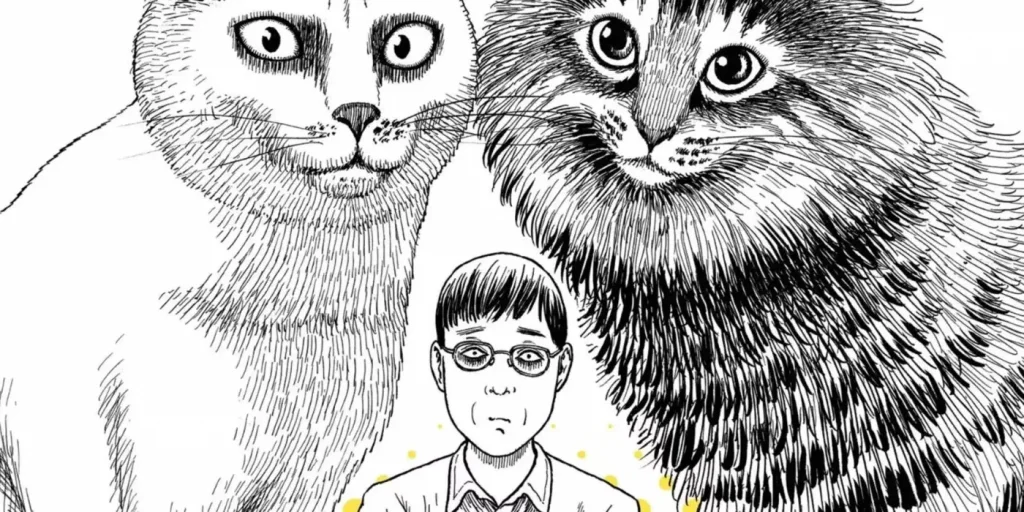 junji ito gatos