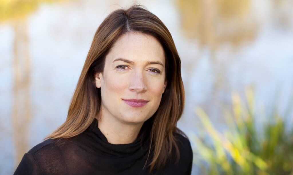 gillian flynn