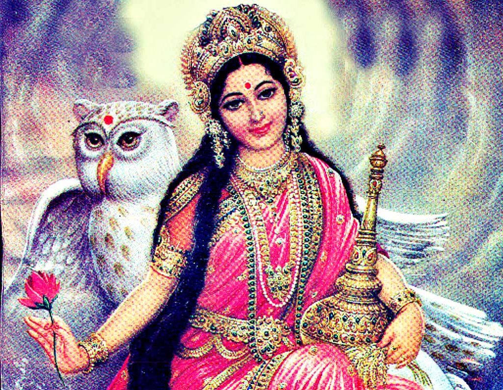 coruja hindu