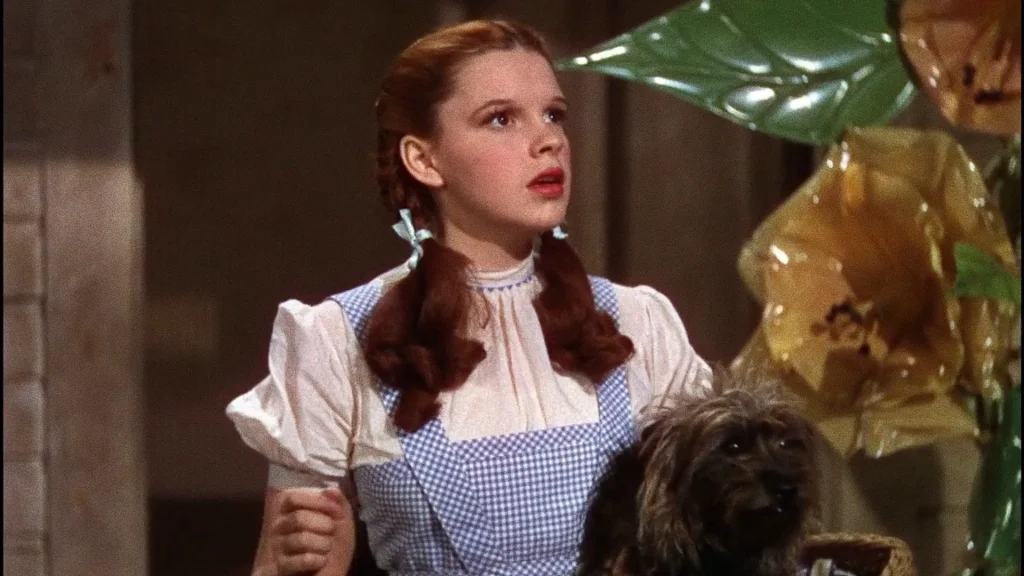 Dorothy O mágico de Oz
